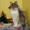 Отзыв от Зинаида Никольская